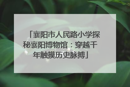 襄阳市人民路小学探秘襄阳博物馆：穿越千年触摸历史脉搏