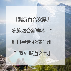 观赏百合次第开 农旅融合新样本 “胜日寻芳·花漾兰州”系列报道之七
