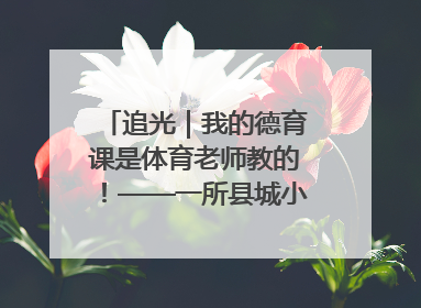 追光｜我的德育课是体育老师教的！——一所县城小学的思政课改革
