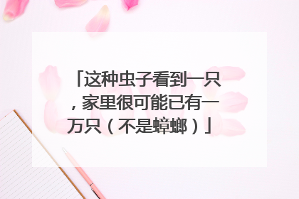 这种虫子看到一只，家里很可能已有一万只（不是蟑螂）