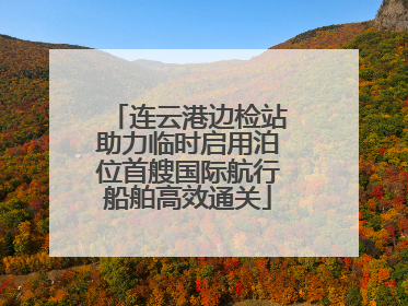 连云港边检站助力临时启用泊位首艘国际航行船舶高效通关