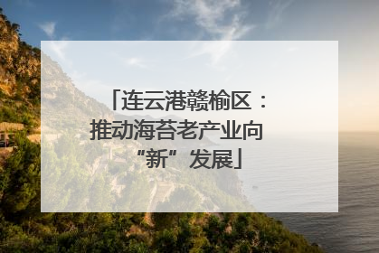 连云港赣榆区：推动海苔老产业向“新”发展