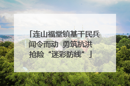 连山福堂镇基干民兵闻令而动  勇筑抗洪抢险“迷彩防线”