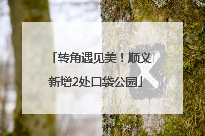 转角遇见美！顺义新增2处口袋公园