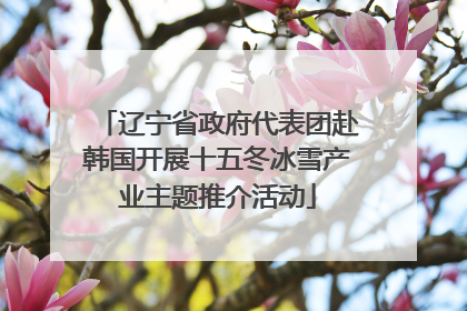 辽宁省政府代表团赴韩国开展十五冬冰雪产业主题推介活动