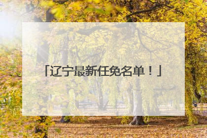 辽宁最新任免名单！