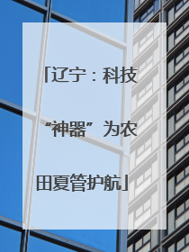 辽宁：科技“神器”为农田夏管护航