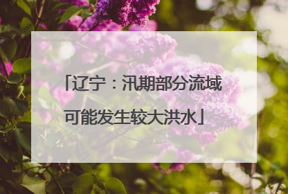 辽宁：汛期部分流域可能发生较大洪水