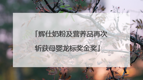 辉仕奶粉及营养品再次斩获母婴龙标奖金奖