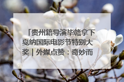 贵州籍导演毕赣拿下戛纳国际电影节特别大奖｜外媒点赞：奇妙而广阔的纯粹电影梦