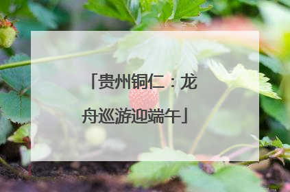 贵州铜仁：龙舟巡游迎端午