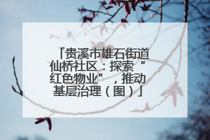 贵溪市雄石街道仙桥社区：探索“红色物业”，推动基层治理（图）