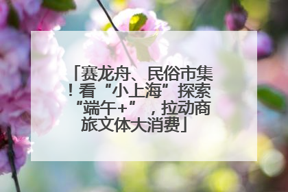 赛龙舟、民俗市集！看“小上海”探索“端午+”，拉动商旅文体大消费
