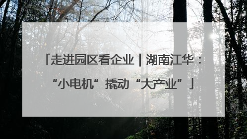 走进园区看企业｜湖南江华：“小电机”撬动“大产业”