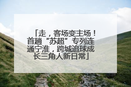 走，客场变主场！首趟“苏超”专列连通宁淮，跨城追球成长三角人新日常