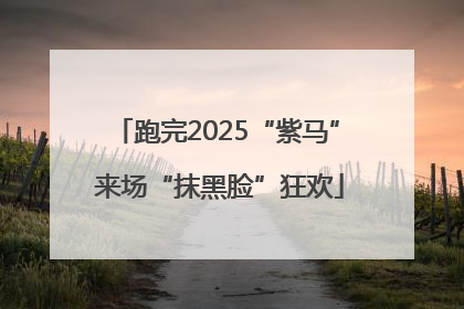 跑完2025“紫马” 来场“抹黑脸”狂欢