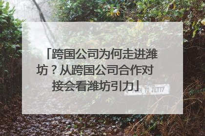 跨国公司为何走进潍坊？从跨国公司合作对接会看潍坊引力