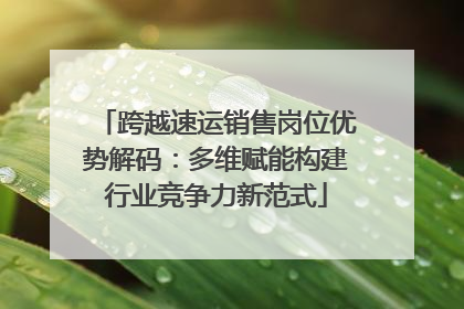 跨越速运销售岗位优势解码：多维赋能构建行业竞争力新范式