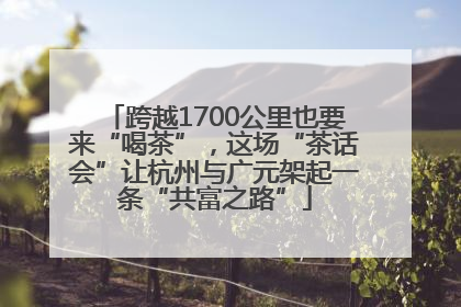 跨越1700公里也要来“喝茶”，这场“茶话会”让杭州与广元架起一条“共富之路”