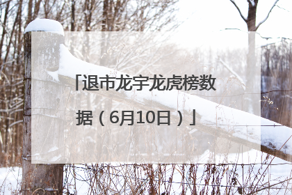 退市龙宇龙虎榜数据（6月10日）