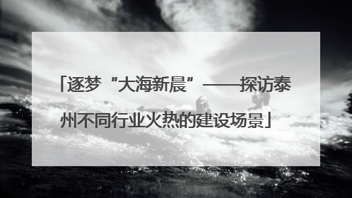 逐梦“大海新晨”——探访泰州不同行业火热的建设场景