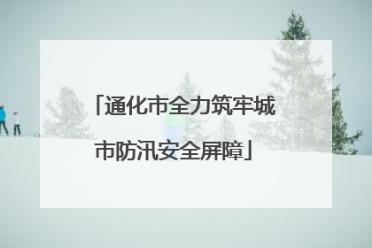 通化市全力筑牢城市防汛安全屏障