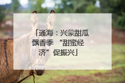 通海：兴蒙甜瓜飘香季 “甜蜜经济”促振兴