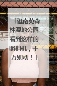 逛南苑森林湿地公园看到这样的照相机，千万别动！