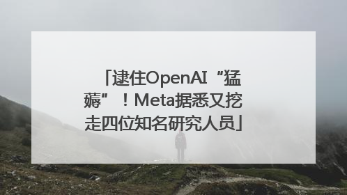 逮住OpenAI“猛薅”！Meta据悉又挖走四位知名研究人员