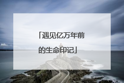 遇见亿万年前的生命印记