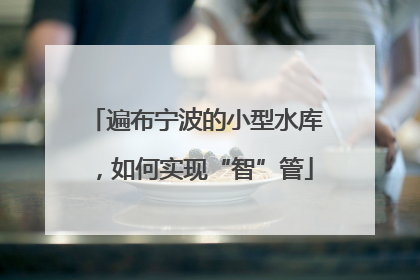 遍布宁波的小型水库，如何实现“智”管