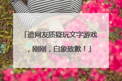 遭网友质疑玩文字游戏，刚刚，白象致歉！