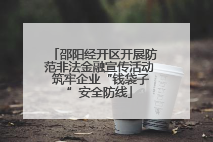 邵阳经开区开展防范非法金融宣传活动 筑牢企业“钱袋子”安全防线