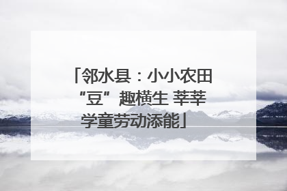邻水县：小小农田“豆”趣横生 莘莘学童劳动添能