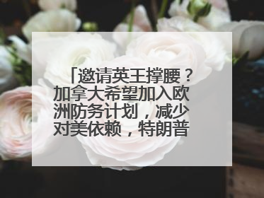 邀请英王撑腰？加拿大希望加入欧洲防务计划，减少对美依赖，特朗普：成为美国第51个州，免费用“金穹”