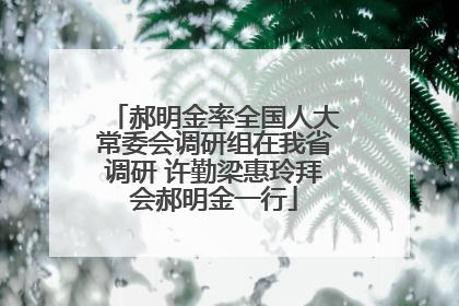 郝明金率全国人大常委会调研组在我省调研 许勤梁惠玲拜会郝明金一行