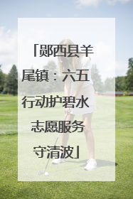 郧西县羊尾镇：六五行动护碧水 志愿服务守清波