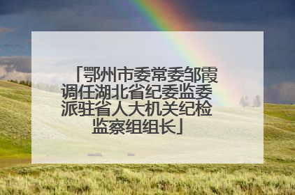 鄂州市委常委邹霞调任湖北省纪委监委派驻省人大机关纪检监察组组长