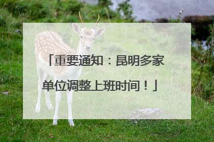重要通知：昆明多家单位调整上班时间！