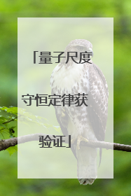 量子尺度守恒定律获验证