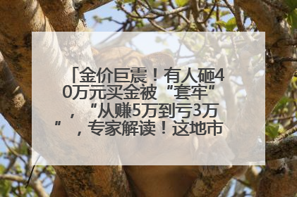 金价巨震！有人砸40万元买金被“套牢”，“从赚5万到亏3万”，专家解读！这地市民烈日下排队百米抢购黄金，“每克只要600多元”
