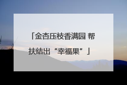 金杏压枝香满园 帮扶结出“幸福果”