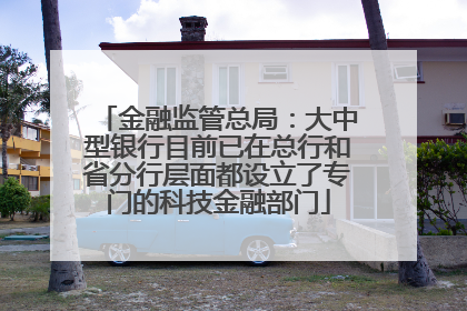 金融监管总局：大中型银行目前已在总行和省分行层面都设立了专门的科技金融部门