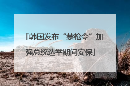 韩国发布“禁枪令”加强总统选举期间安保
