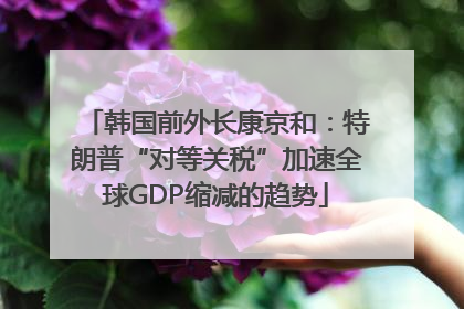 韩国前外长康京和：特朗普“对等关税”加速全球GDP缩减的趋势