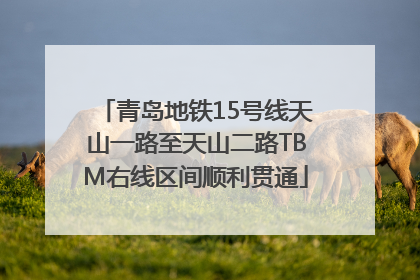 青岛地铁15号线天山一路至天山二路TBM右线区间顺利贯通