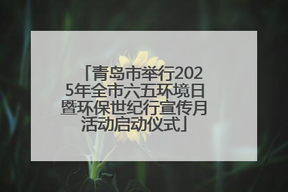 青岛市举行2025年全市六五环境日暨环保世纪行宣传月活动启动仪式
