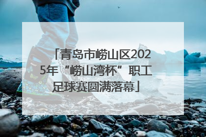 青岛市崂山区2025年“崂山湾杯”职工足球赛圆满落幕