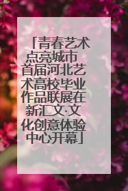 青春艺术点亮城市 首届河北艺术高校毕业作品联展在新汇文·文化创意体验中心开幕