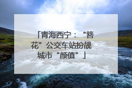 青海西宁：“簪花”公交车站扮靓城市“颜值”
